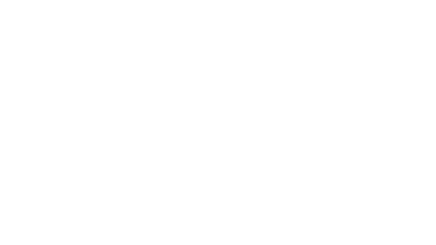 The Balloonist