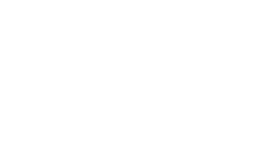 Dolfje Weerwolfje